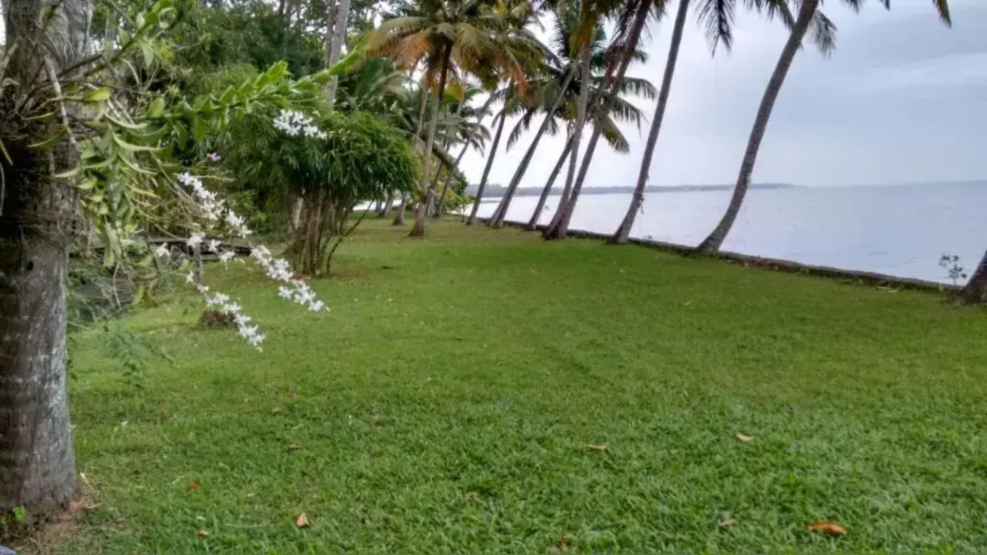 Vembanad House Boutique Back Water Homestay