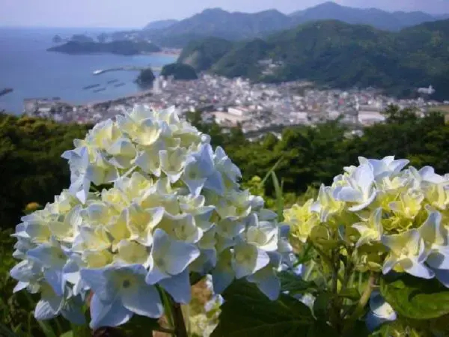 Guest House Itokawa
