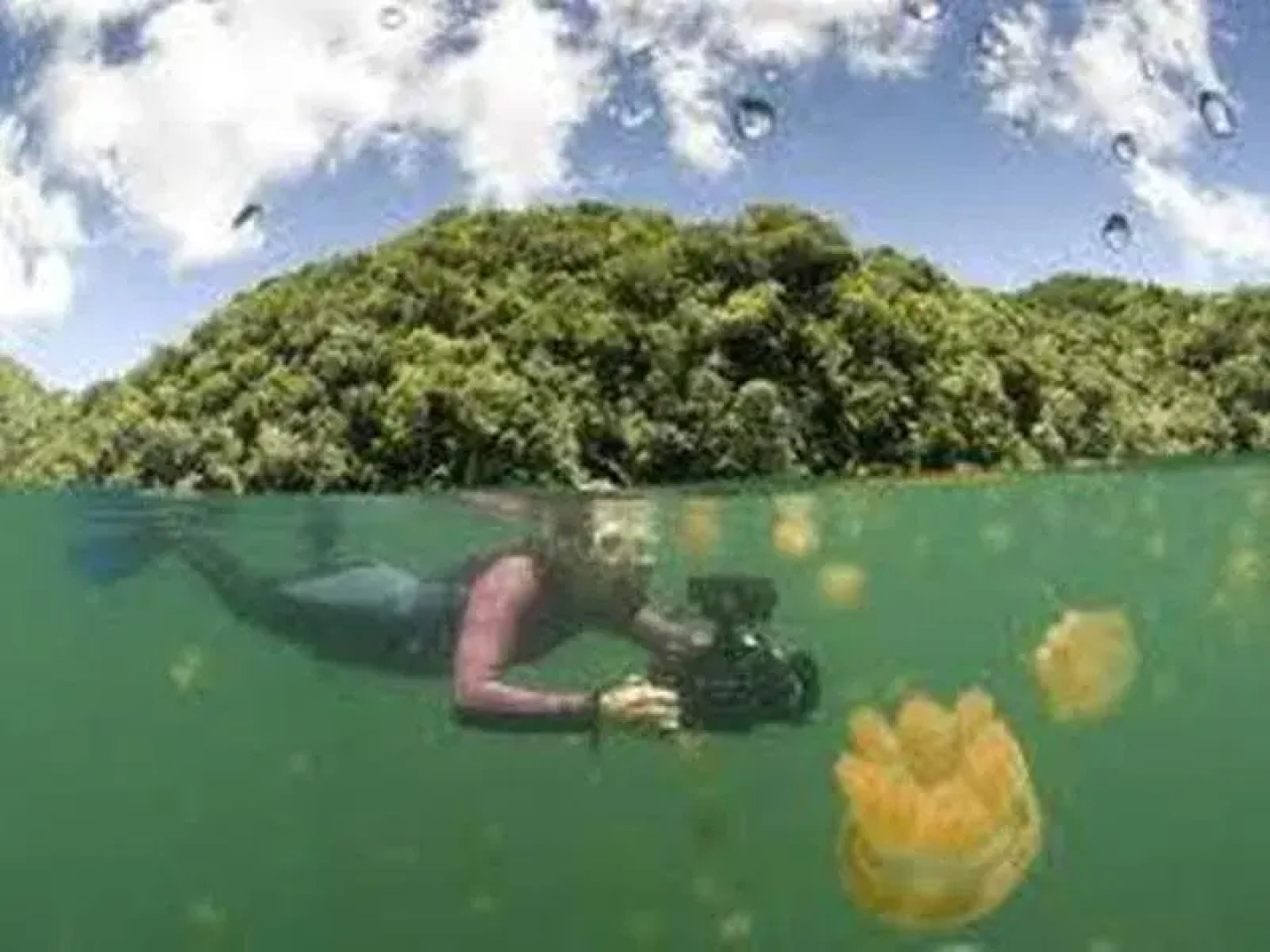 West Plaza Coral Reef