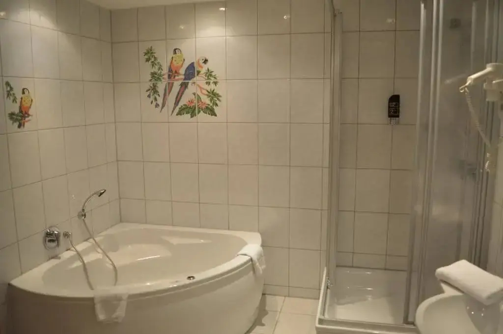 Arosa Hotel
