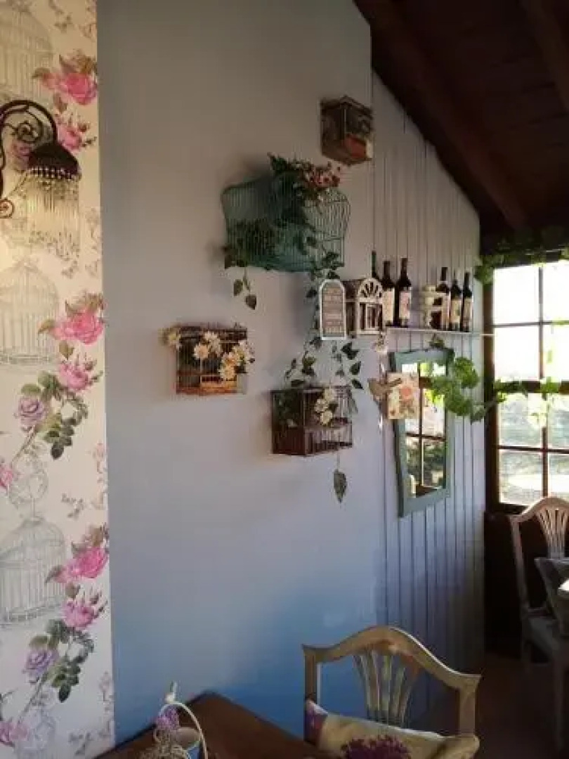 Ziggy's Mountain Retreat