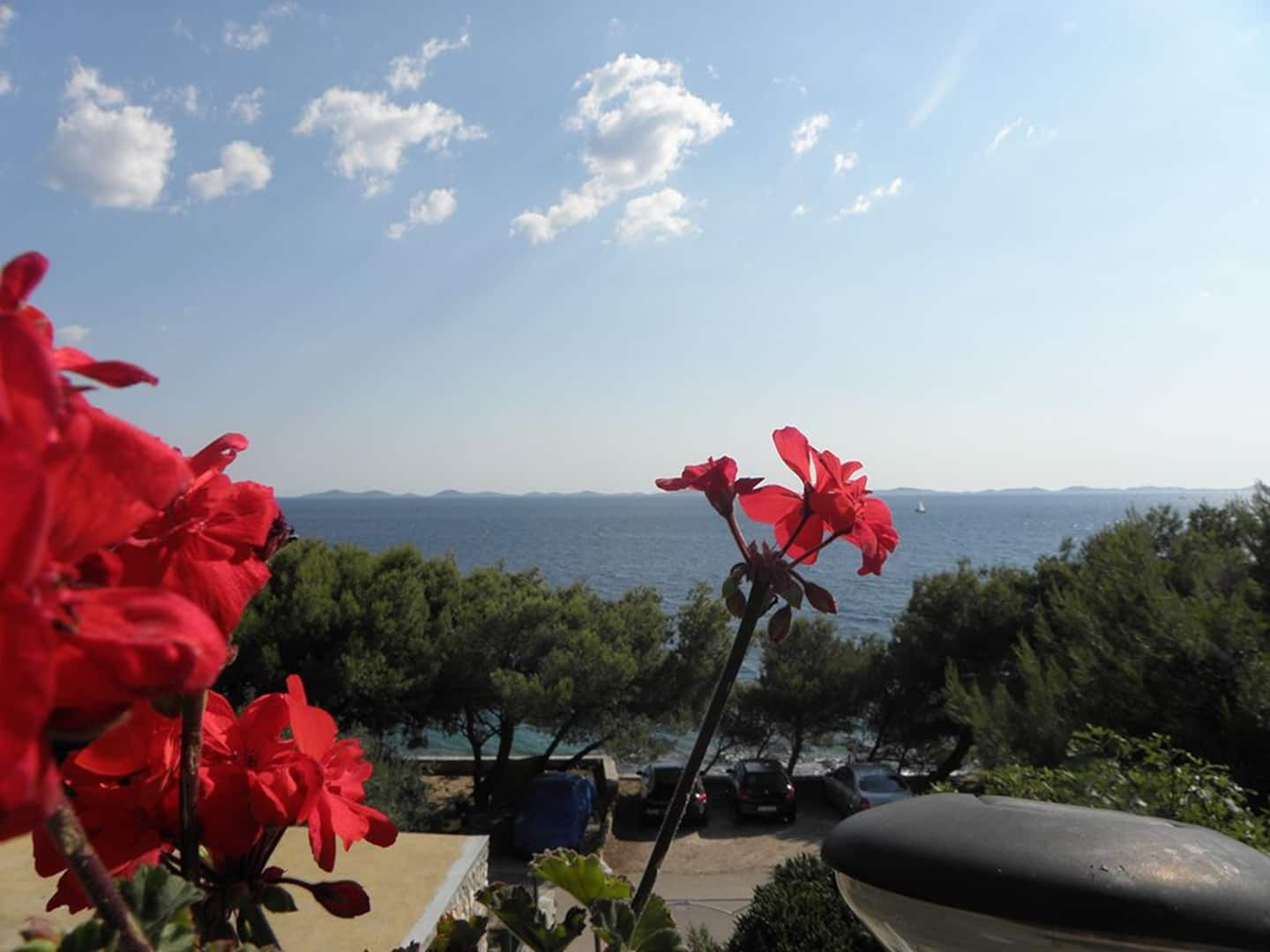 Apartment Djurdja - 20 m from beach : A2 Luka Murter, Island Murter