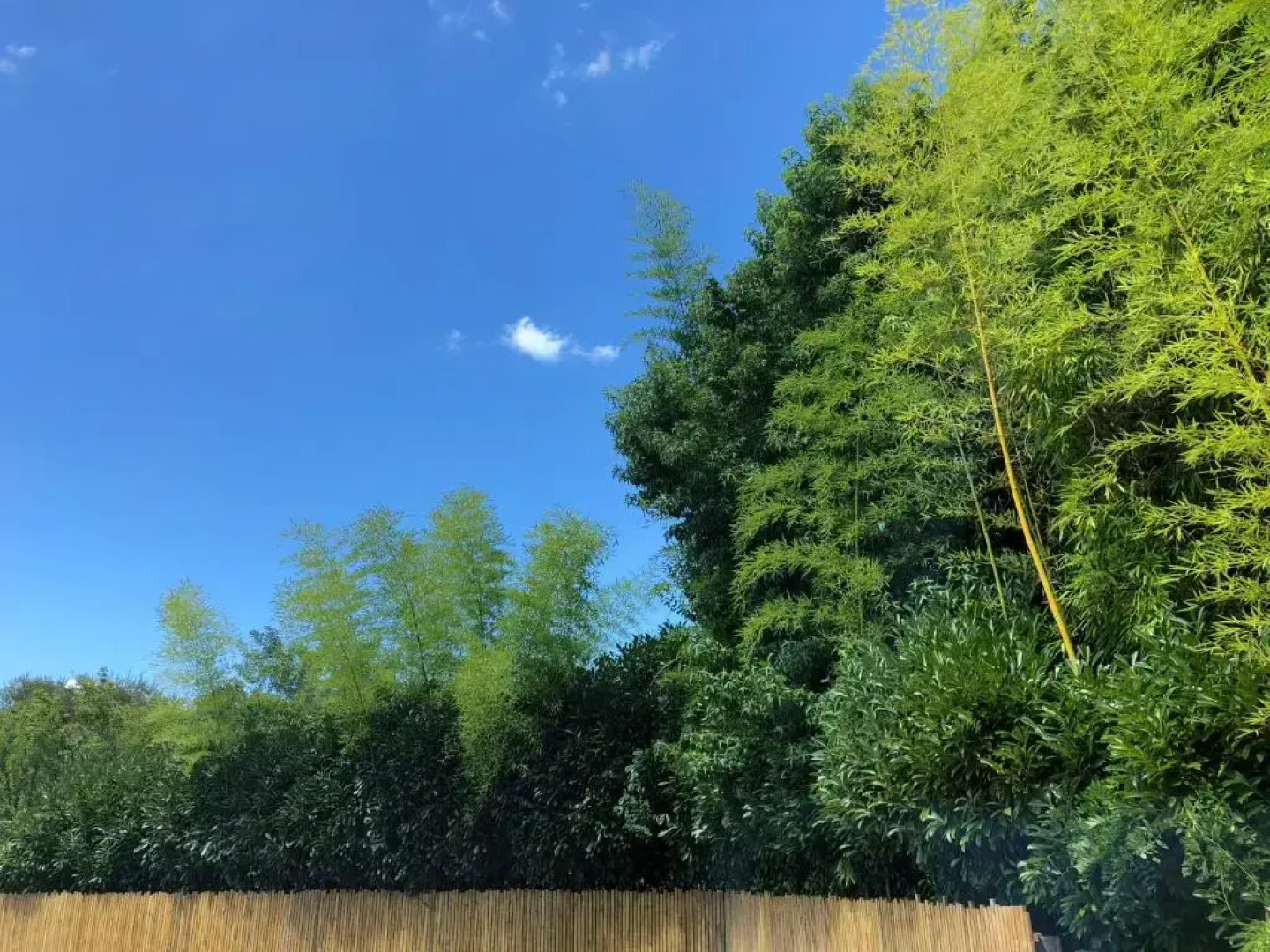 Hotel du Lac d'Arjuzanx