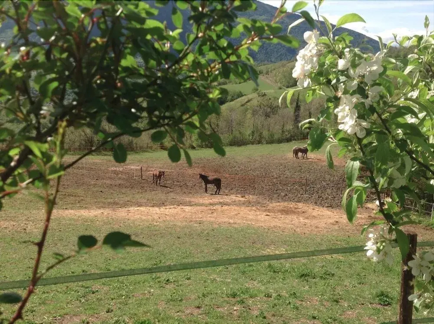 Agriturismo Le Sorgenti