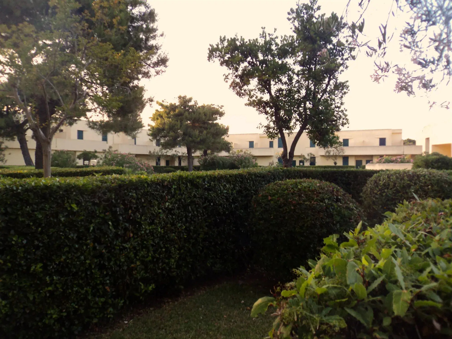 Residence Altair-Serra Alimini 3