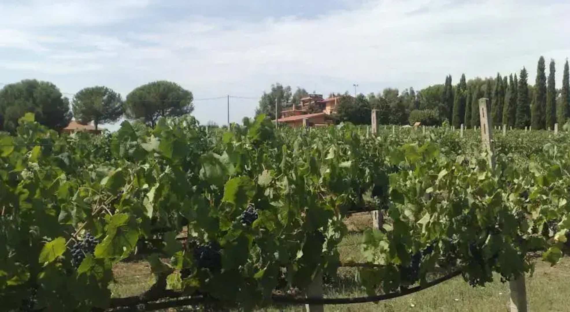 Colle di Maggio
