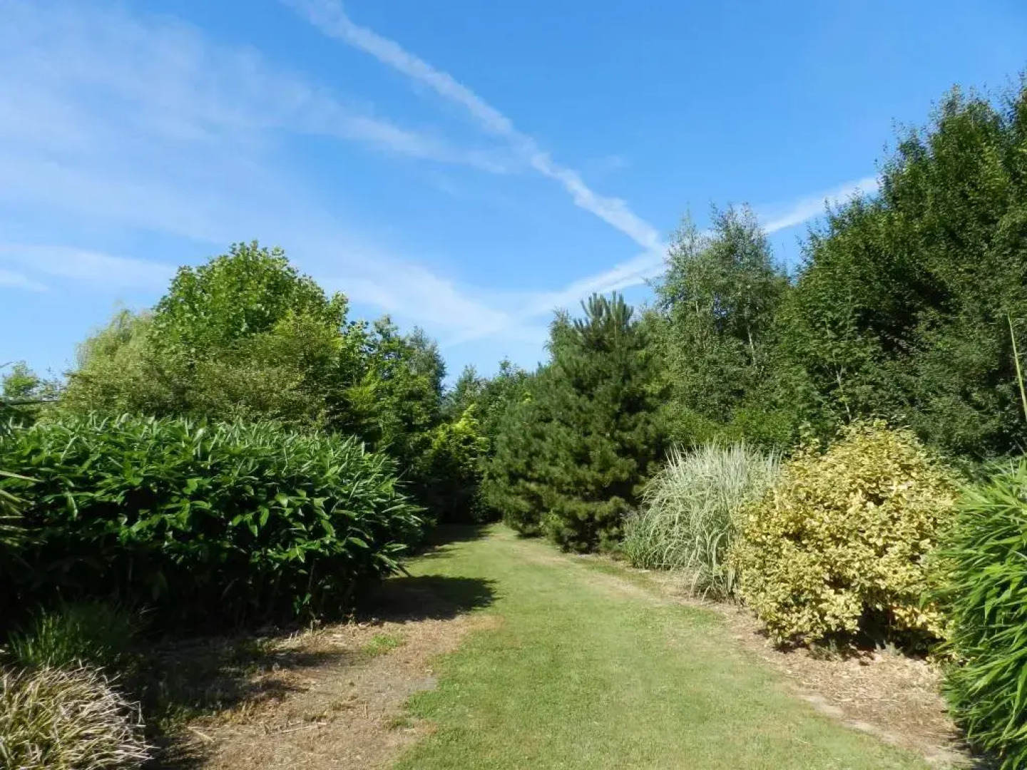 Gîte La Grenouillère