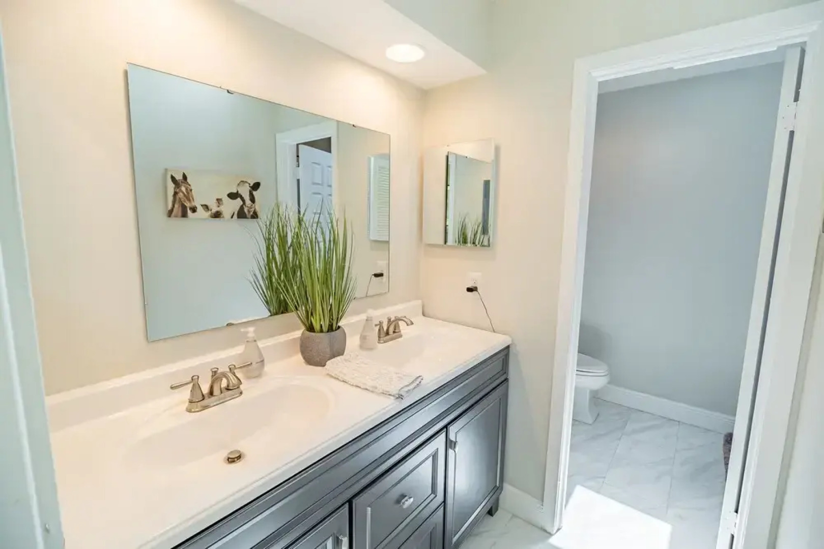 Spacious Country Estate