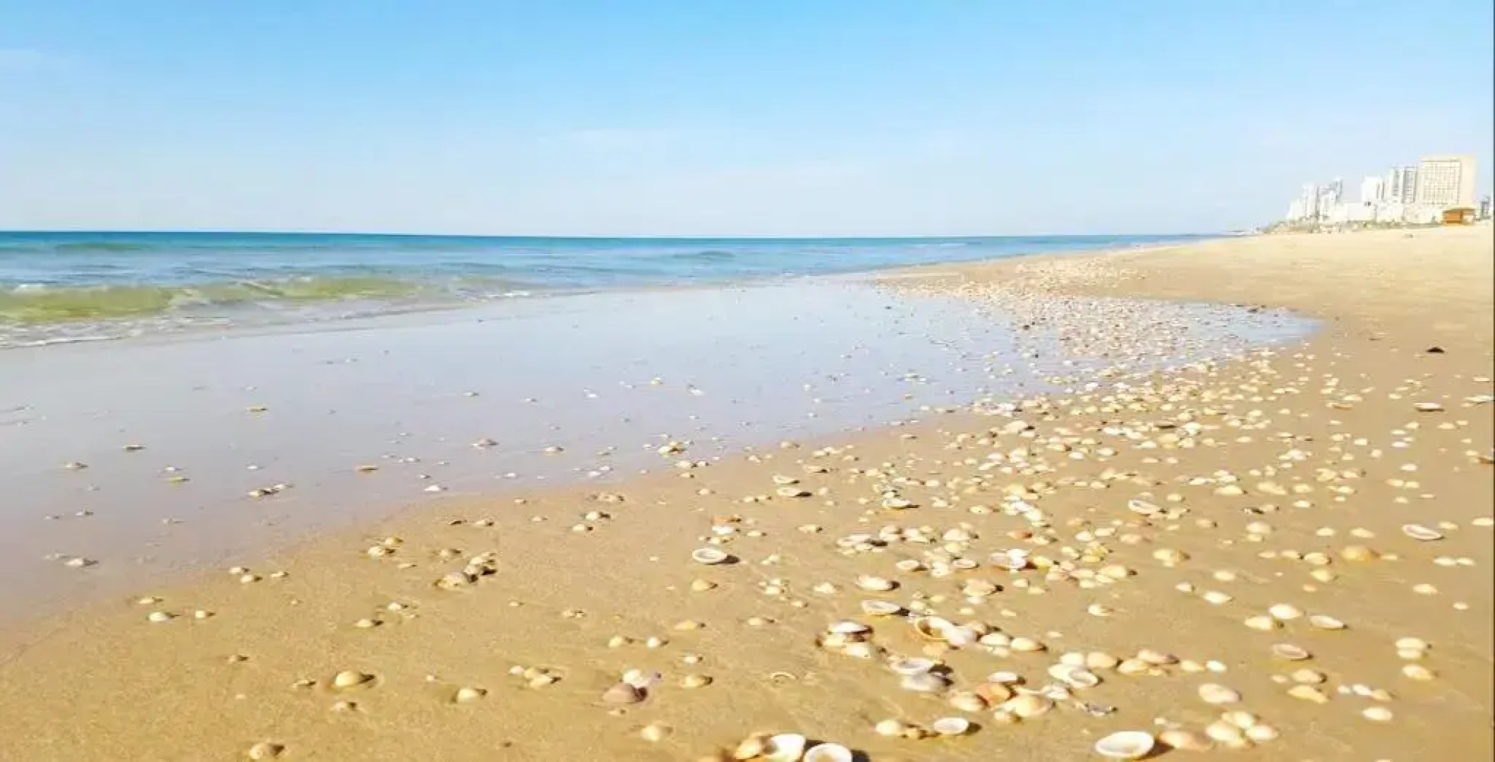 Colony Beach Hotel Apartment Tel Aviv Bat Yam 13