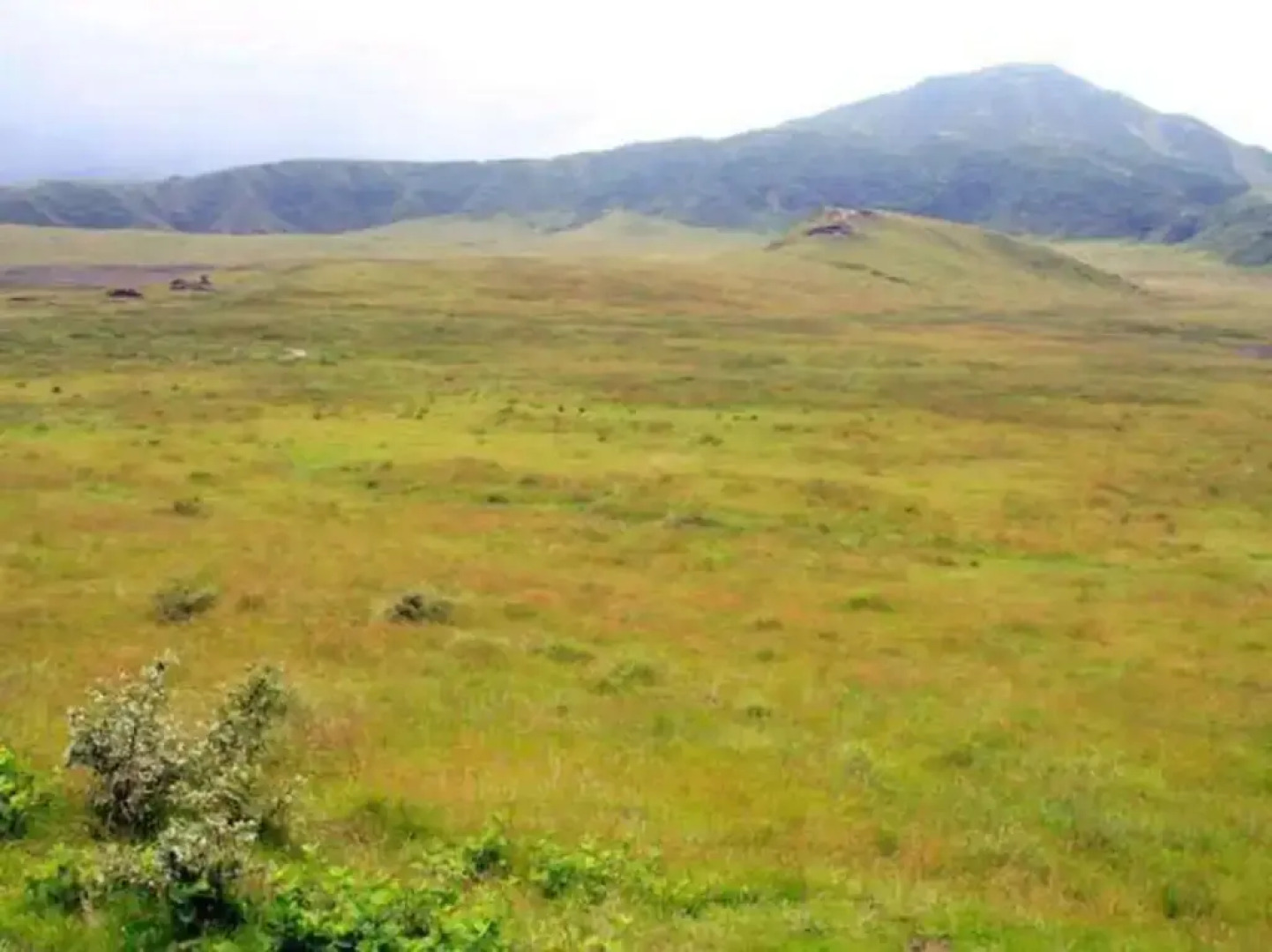 Stone House Inn Camello