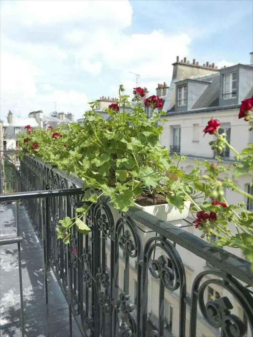 Hôtel Vendome Saint Germain