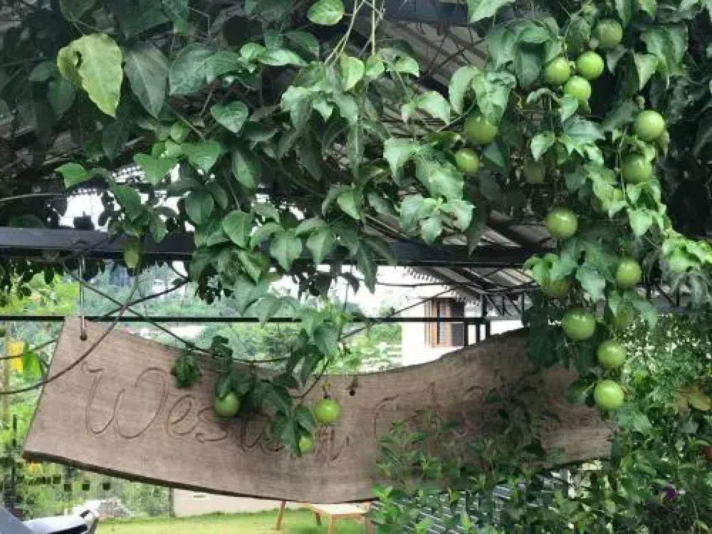 Western Ghats Holiday Homes