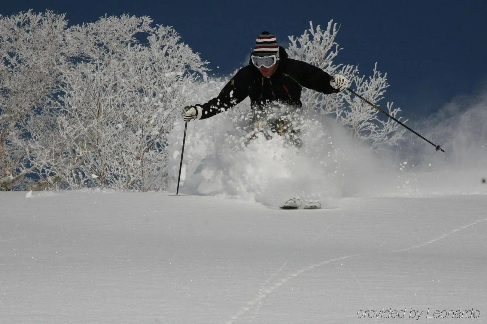 The Green Leaf Niseko Village, Tapestry Collection by Hilton