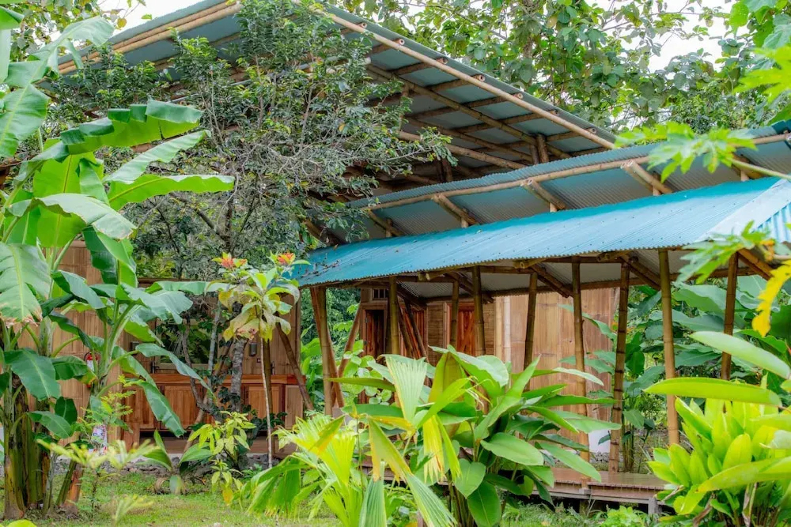 La Cotinga Biological Station