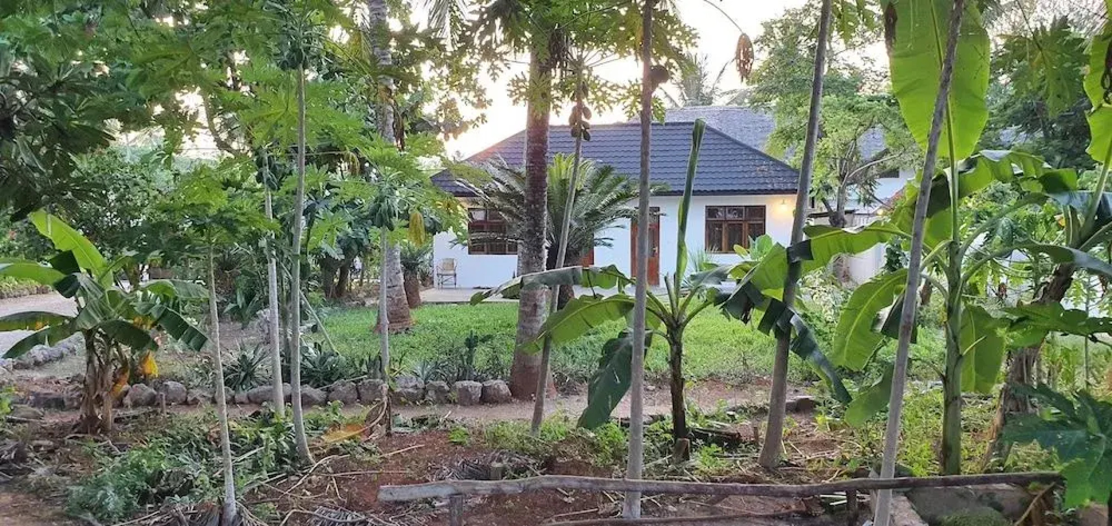 Zoi Retreat Hotel Zanzibar