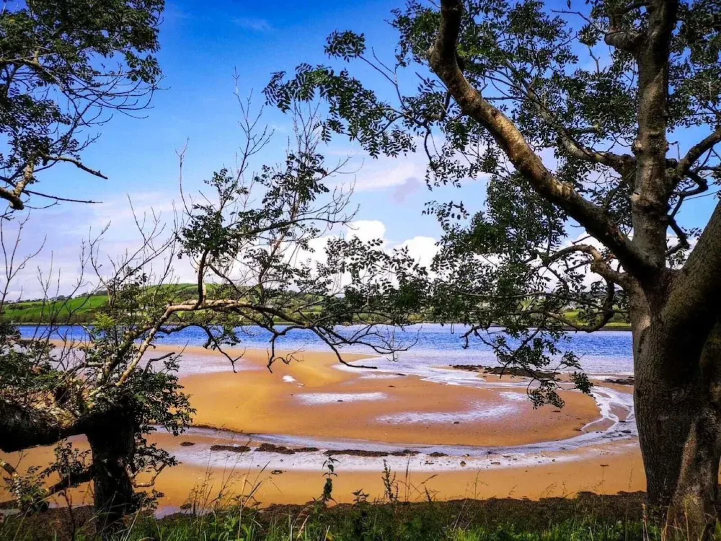 The Lazy Llama Shepherd Hut Campview Farm Stay