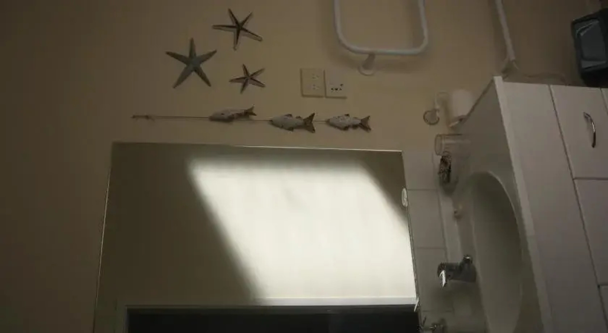 Kotuku Bed & Breakfast