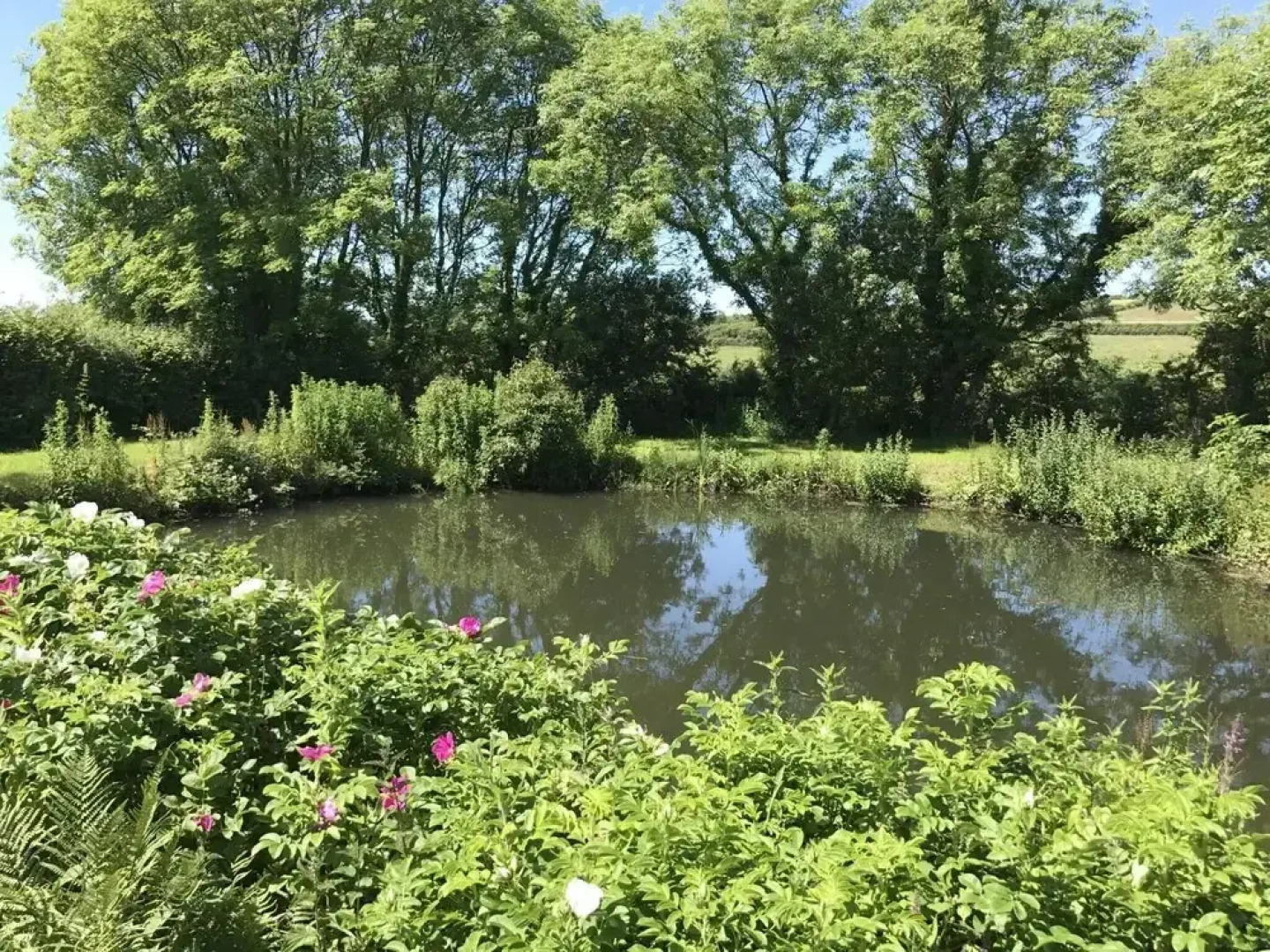 Quaint Holiday Home in Little Haven near Beach