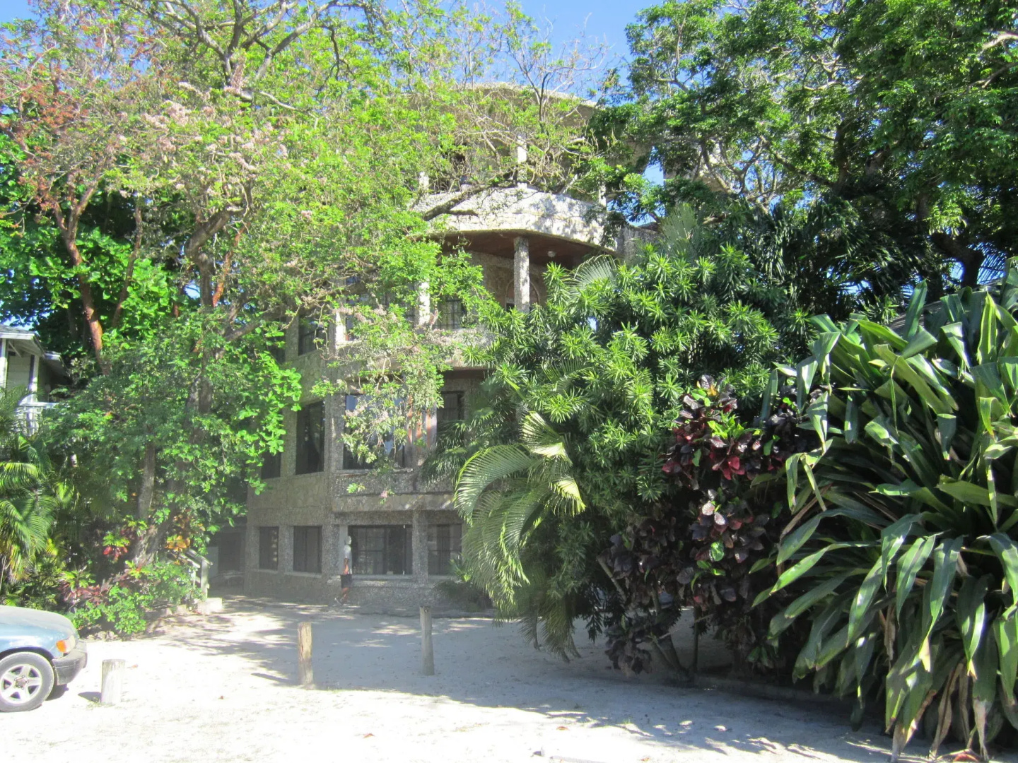 Coconut Tree West Bay
