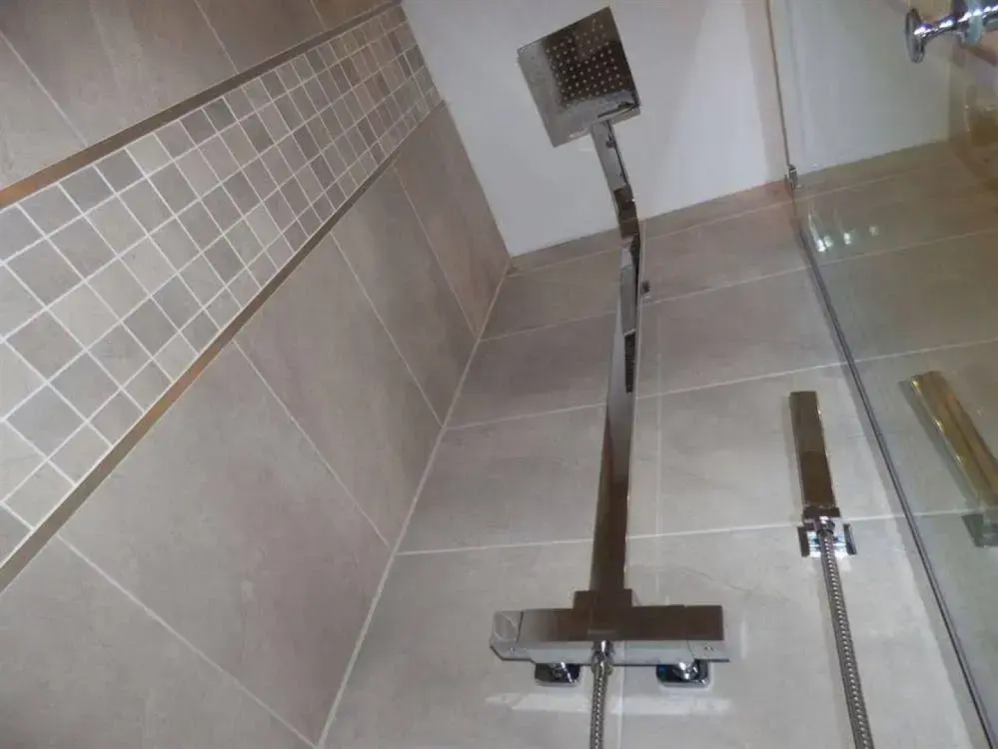 The Duke of Tavistock