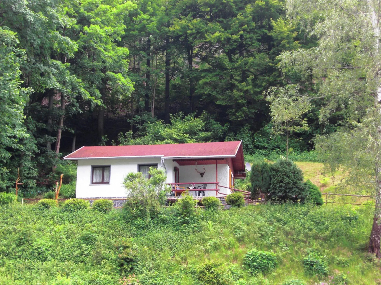 Engenstein Woodland Escape