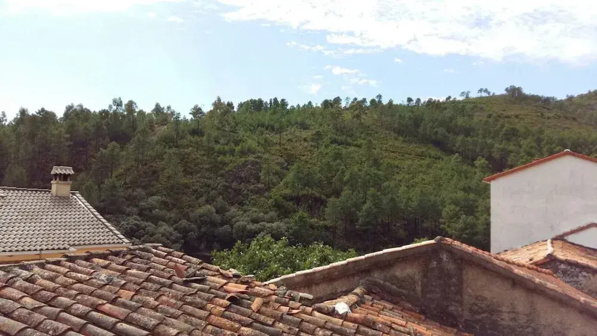 Apartamento Prunus Avium