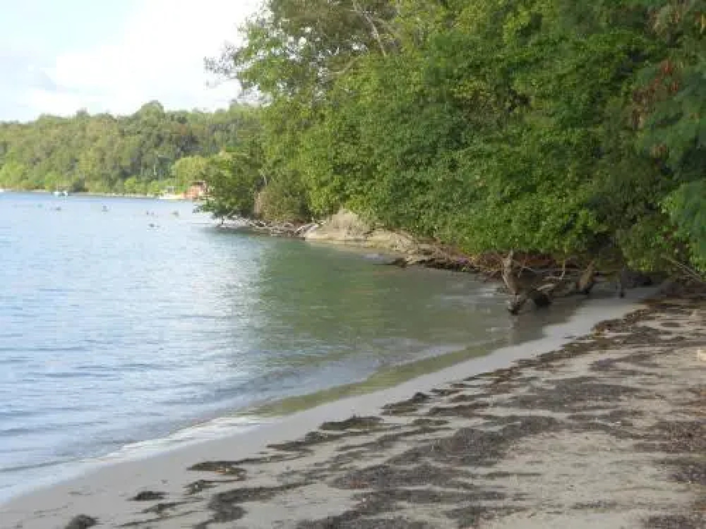 Entre Mer et Verdure