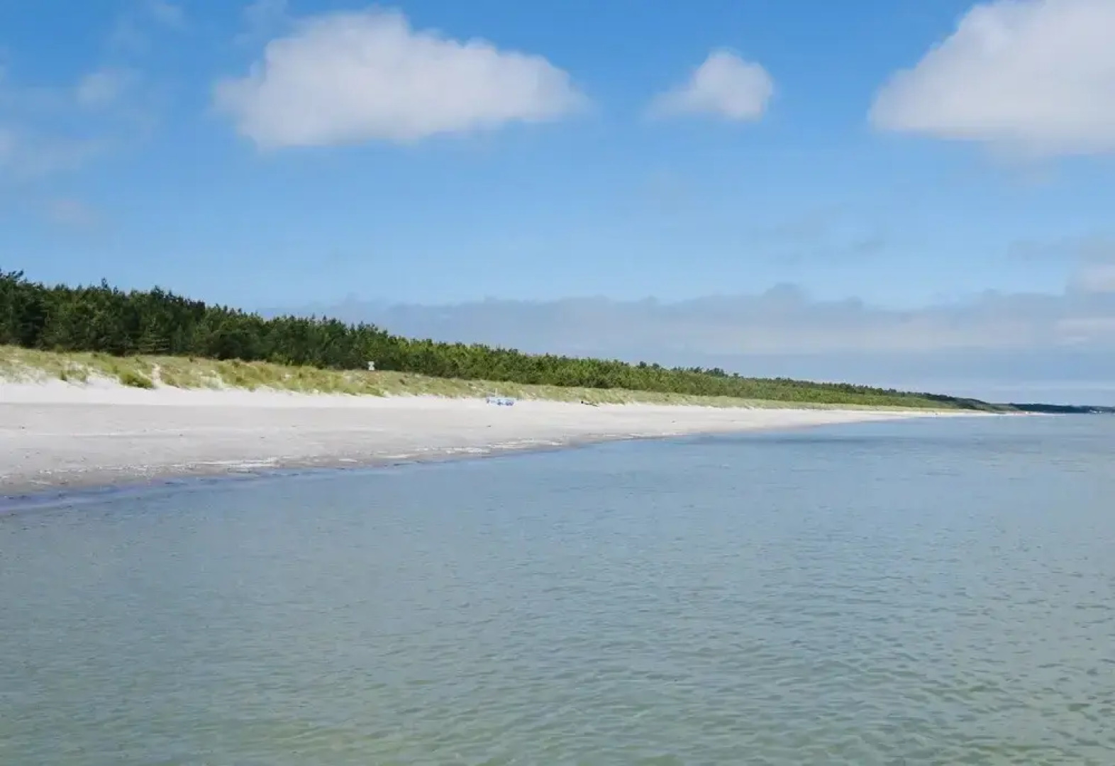 Revier Albatros 1 - Appartement KRANICH