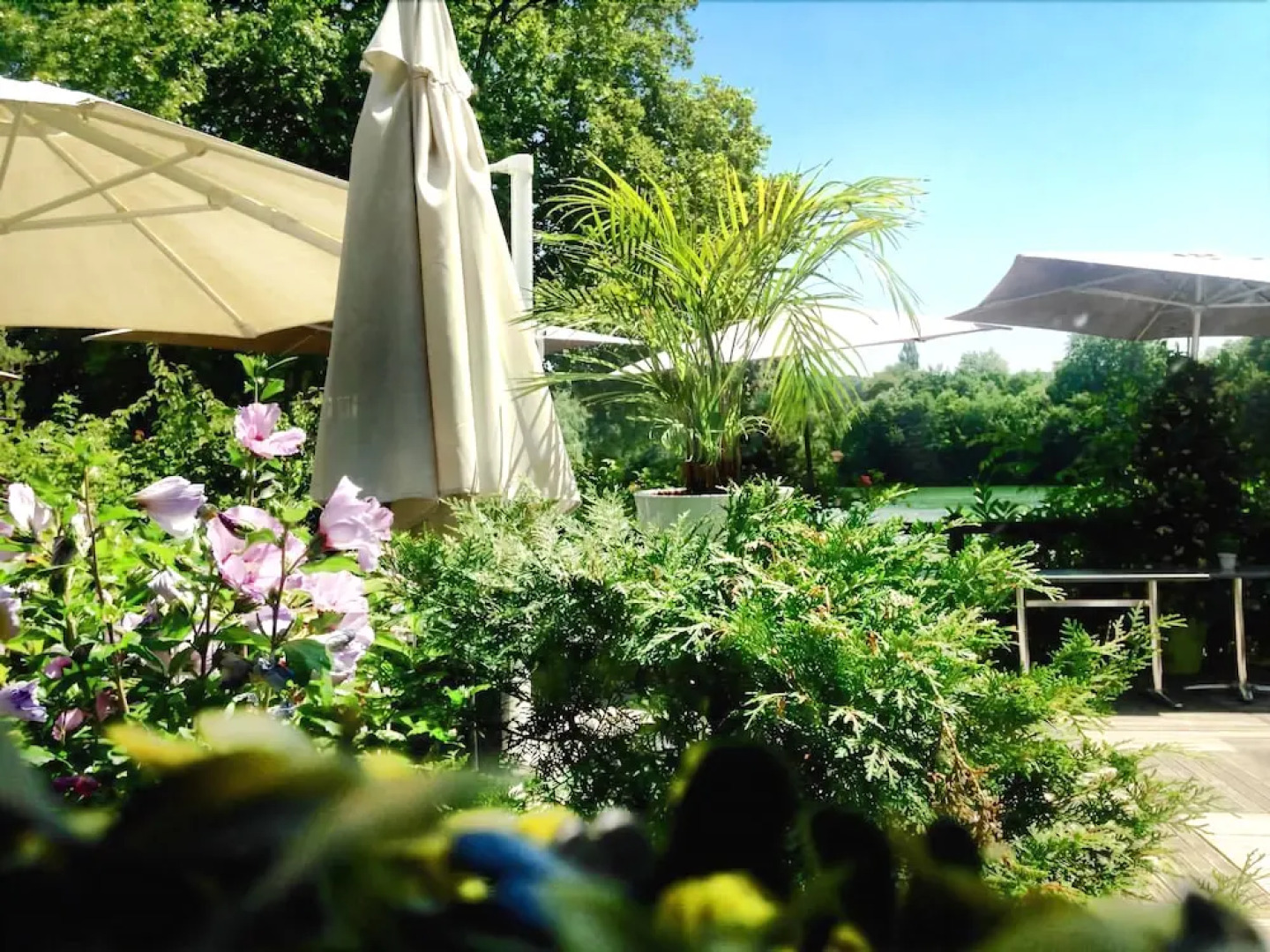 Country Club Fontainebleau