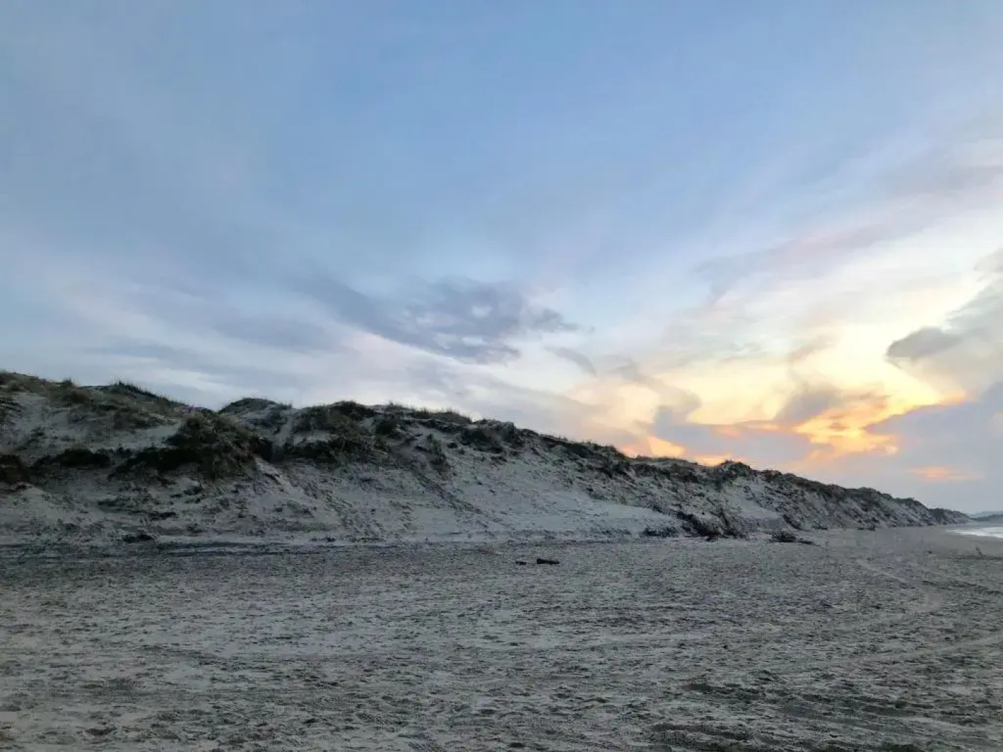 Den Skaldede Kok Guesthouse