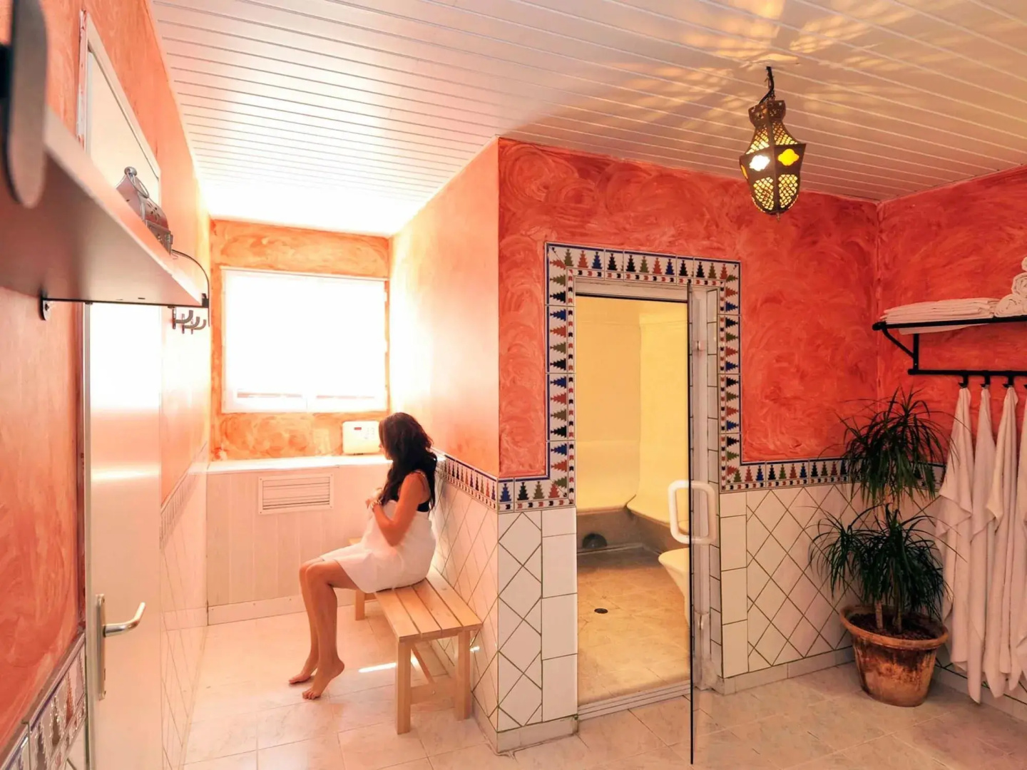ibis Orange Sud