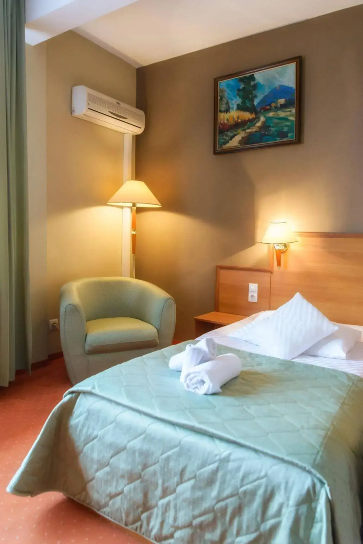 Hotel Rivulus