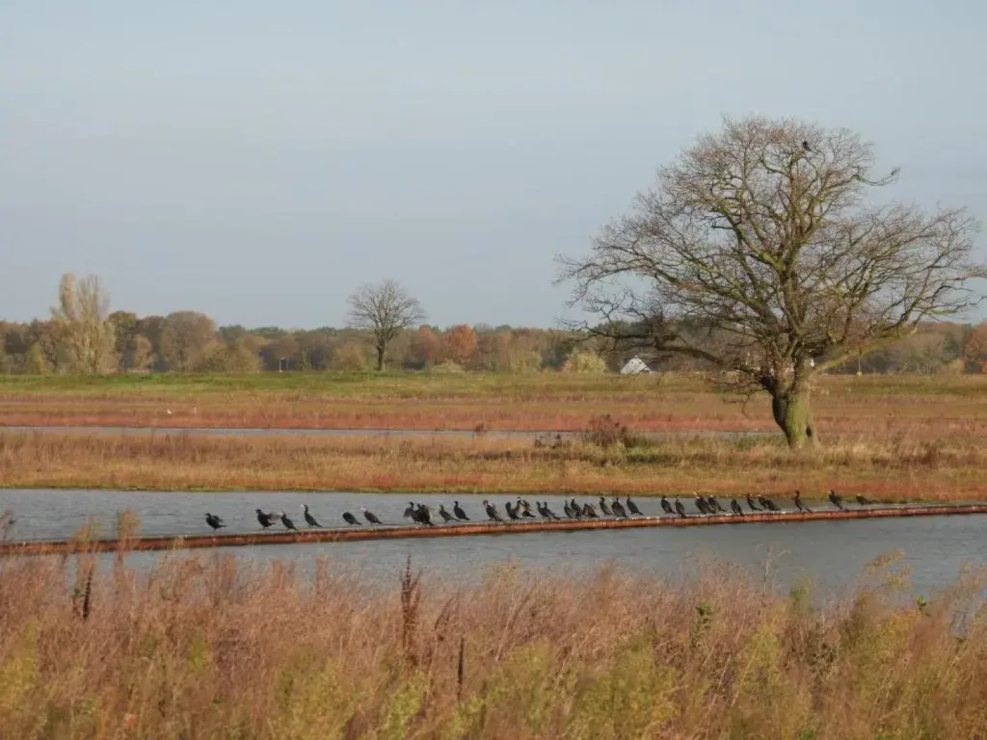 B&B de Blauwververij