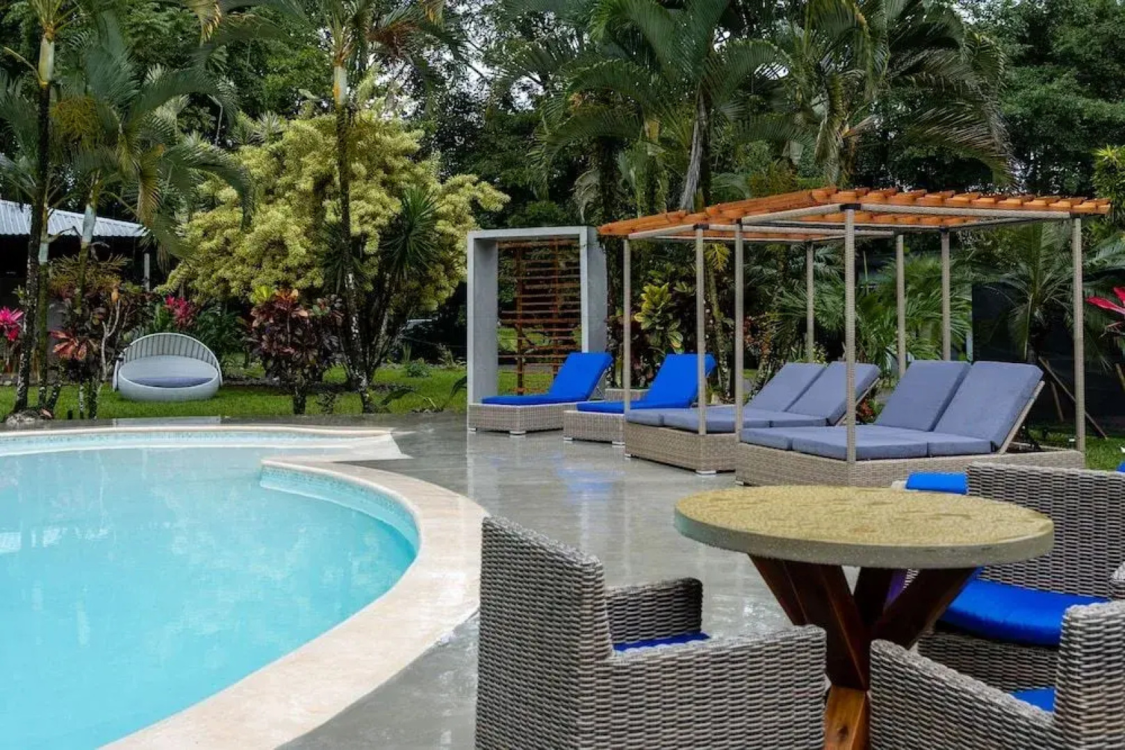 Noah's Forest by Tifakara