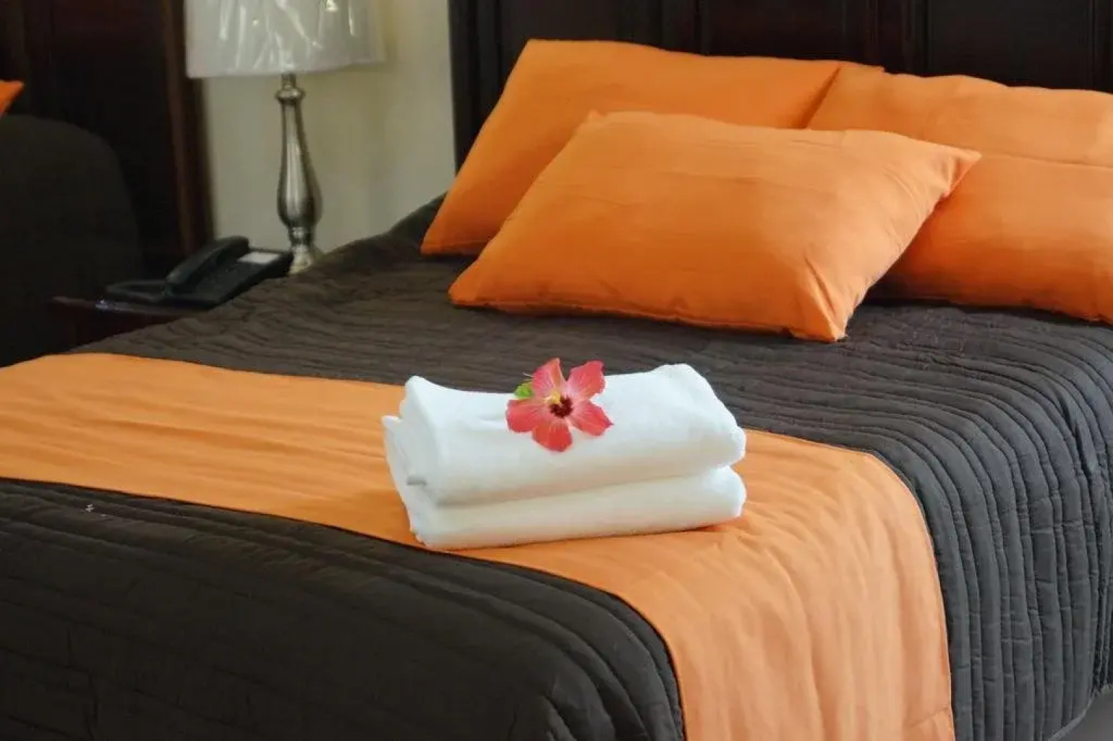 Hotel Amazing Celaya