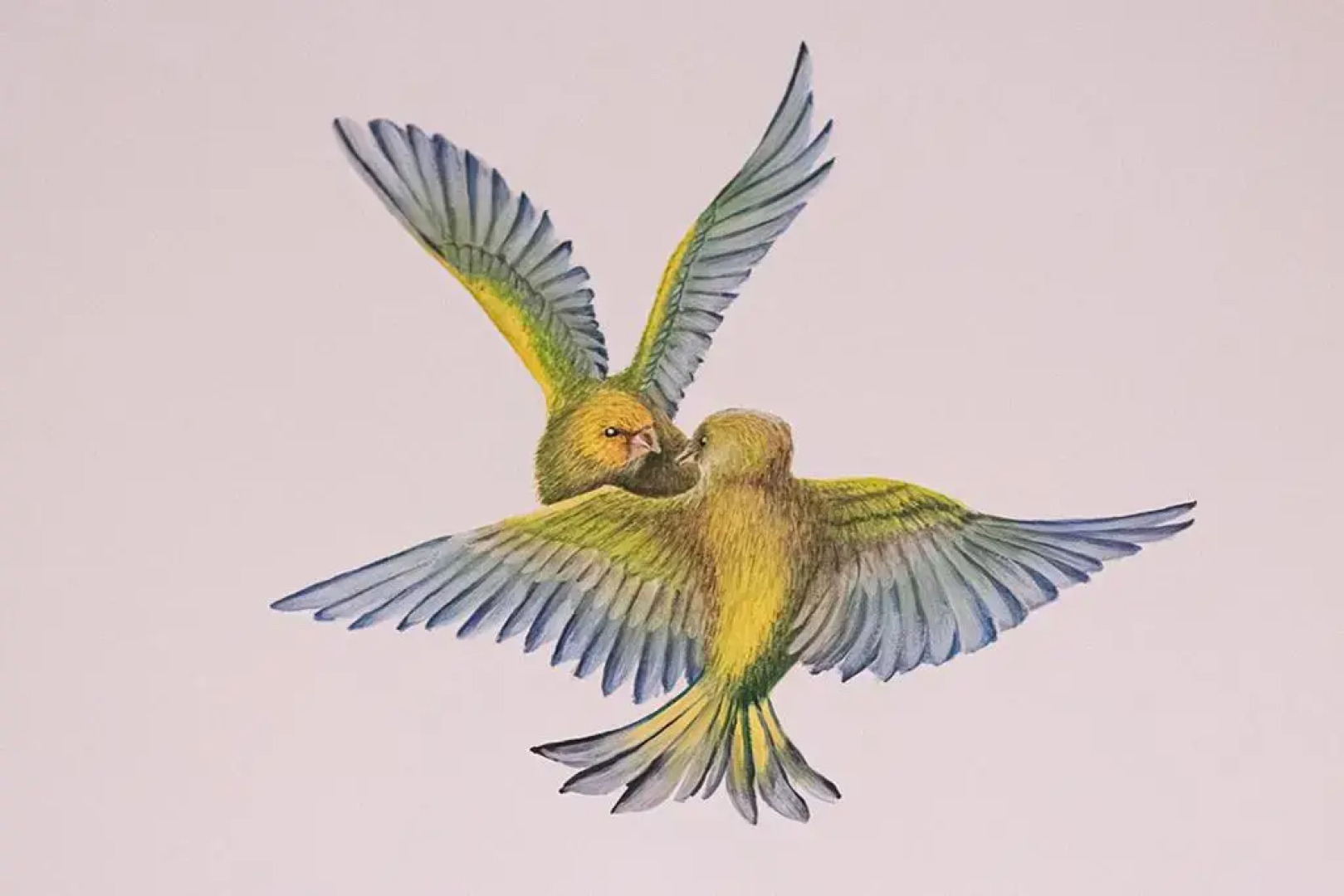 Hotellerie Het Wapen Van Athlone