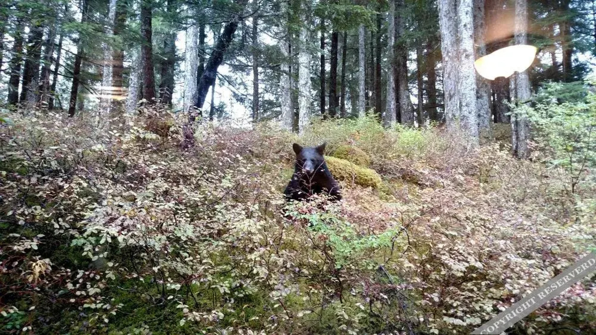 Pearson's Pond Luxury Inn & Spa