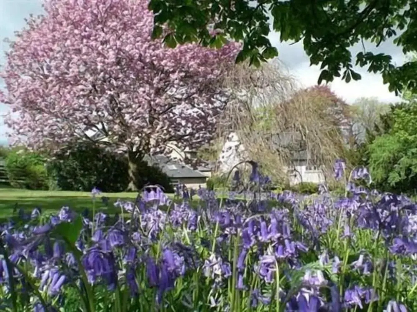 Hedgefield House Hotel