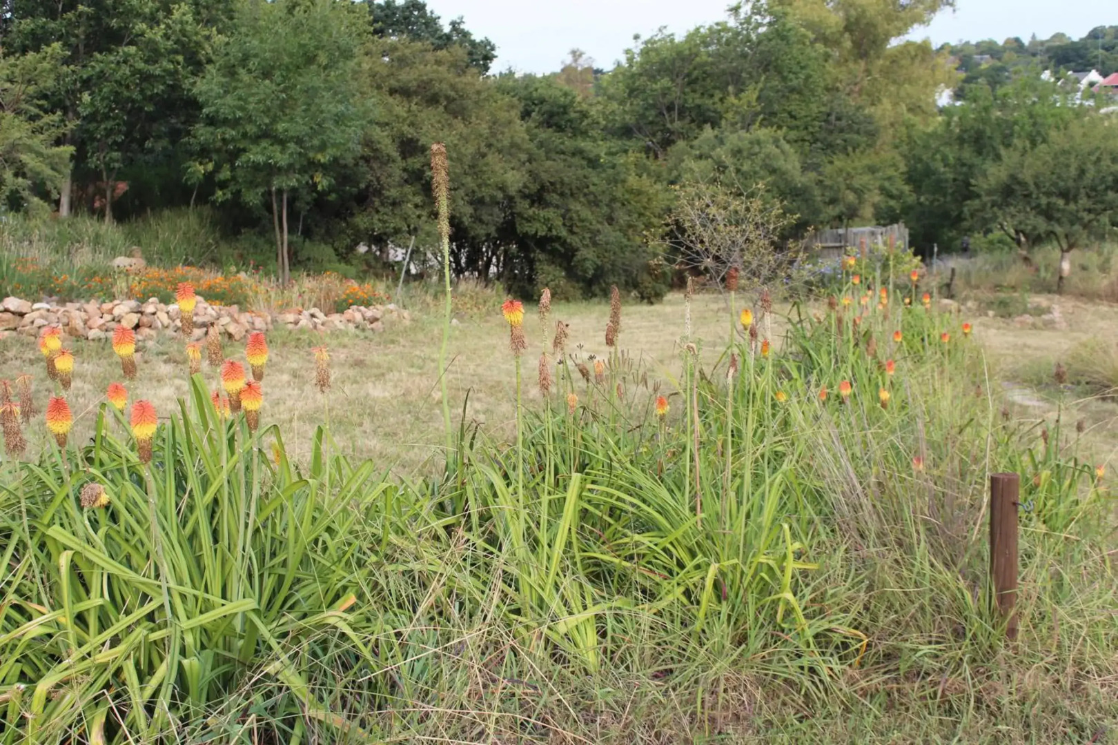 Retro-vintage New Yorker Apartment in Centurion