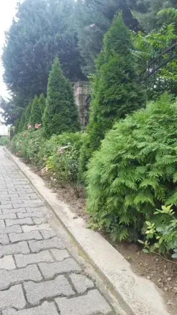 Satelit Hotel-kumanovo