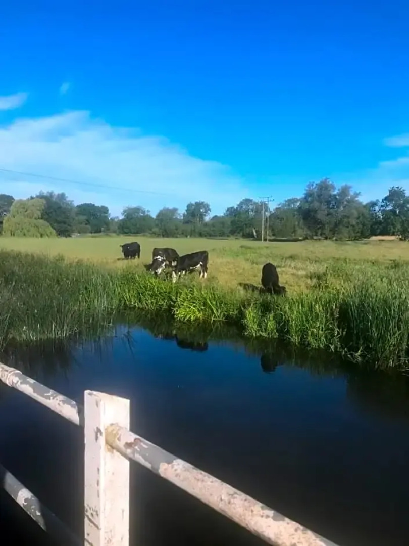 St.Catherine`s Cottage, The Old School House