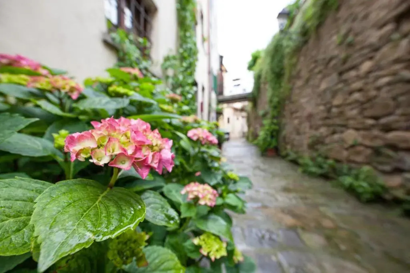 San Michele al Borgo