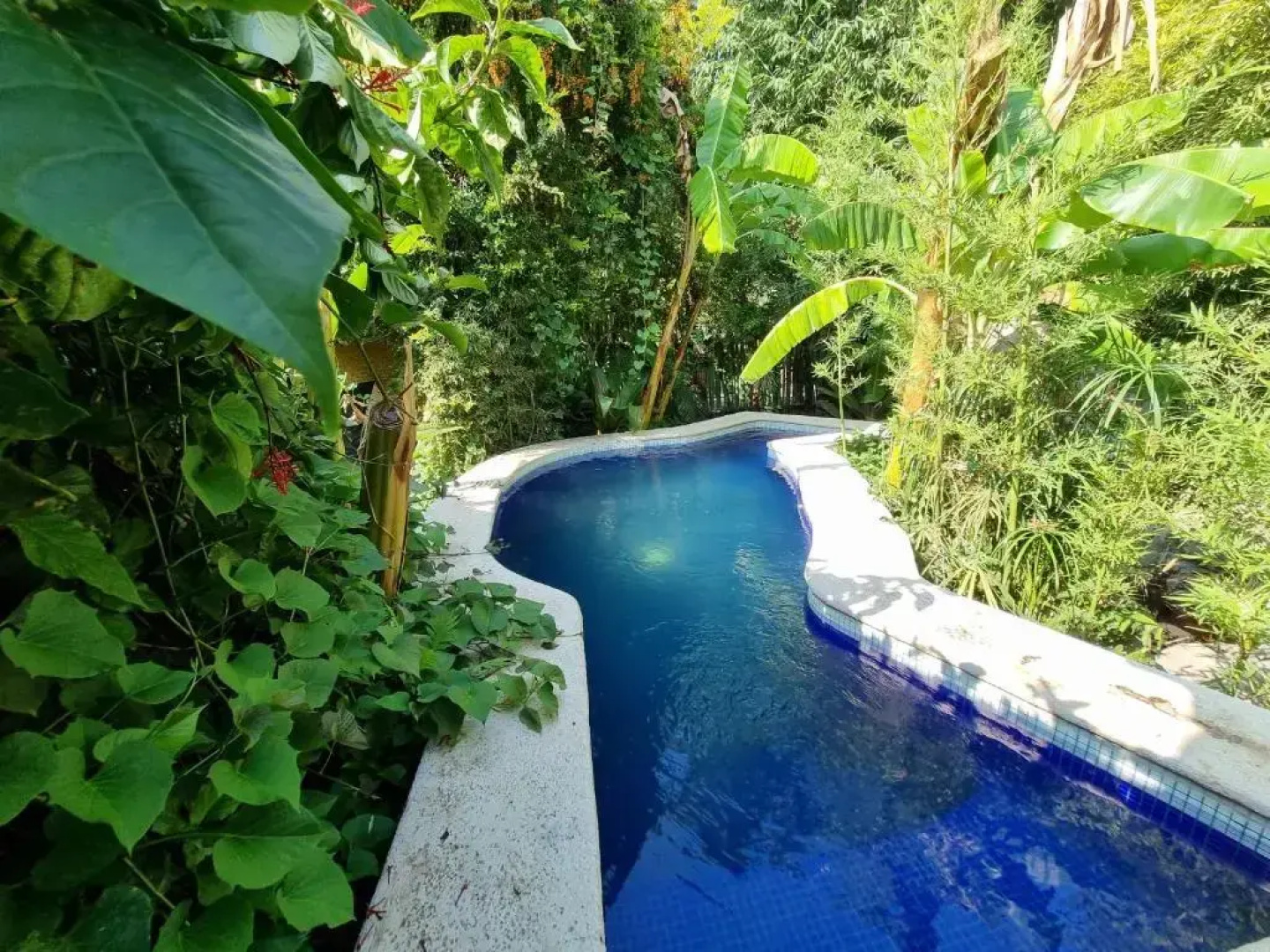 Eco Hotel Tahawi