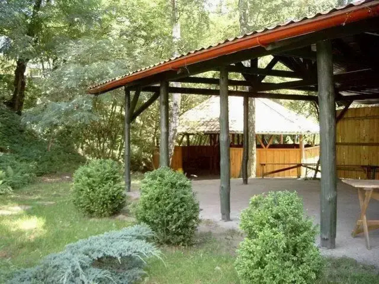 Dolina Leśna Ośno Lubuskie