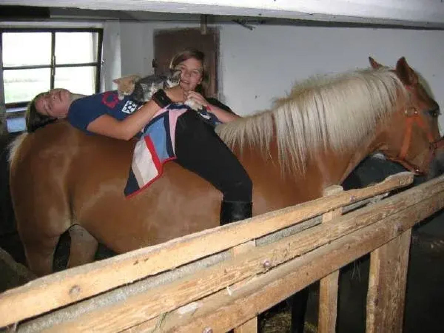 Baby-/Kinderhof Aicherbauer