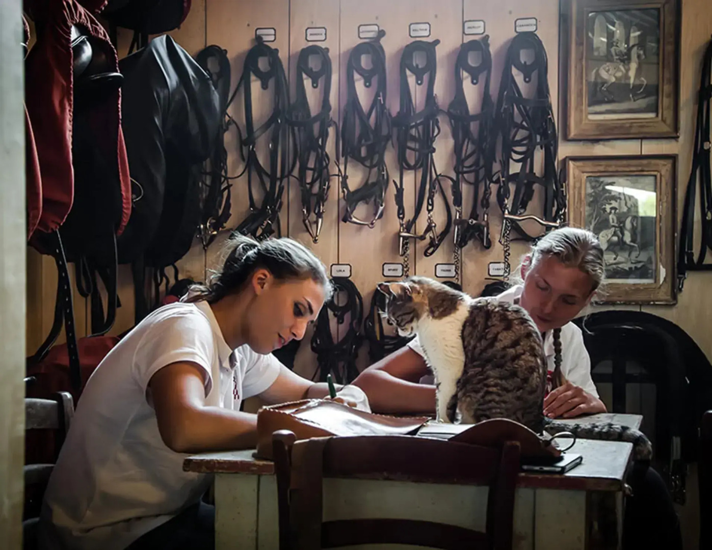 Hotel Castello di Reschio