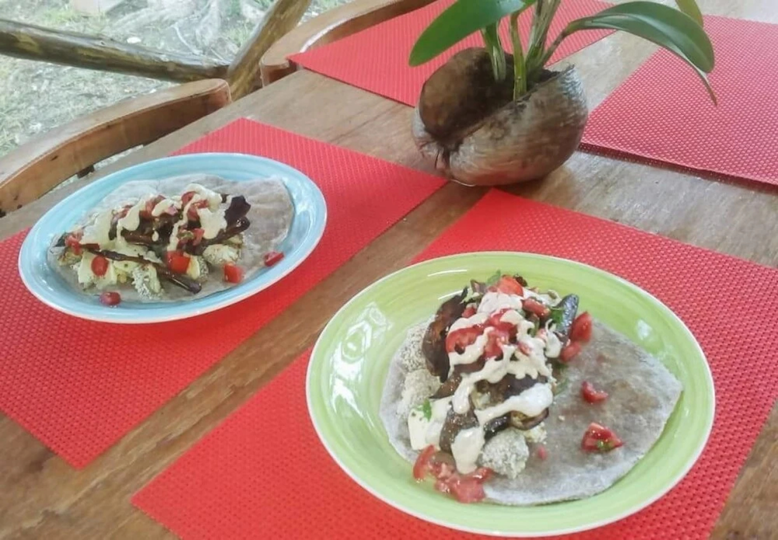 Serenity Retreats Belize -A Vegan Resort