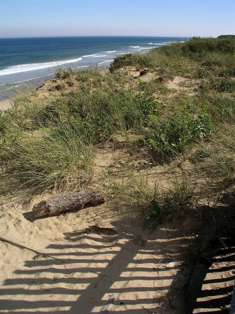 The Cove at Yarmouth by Westgate Resorts