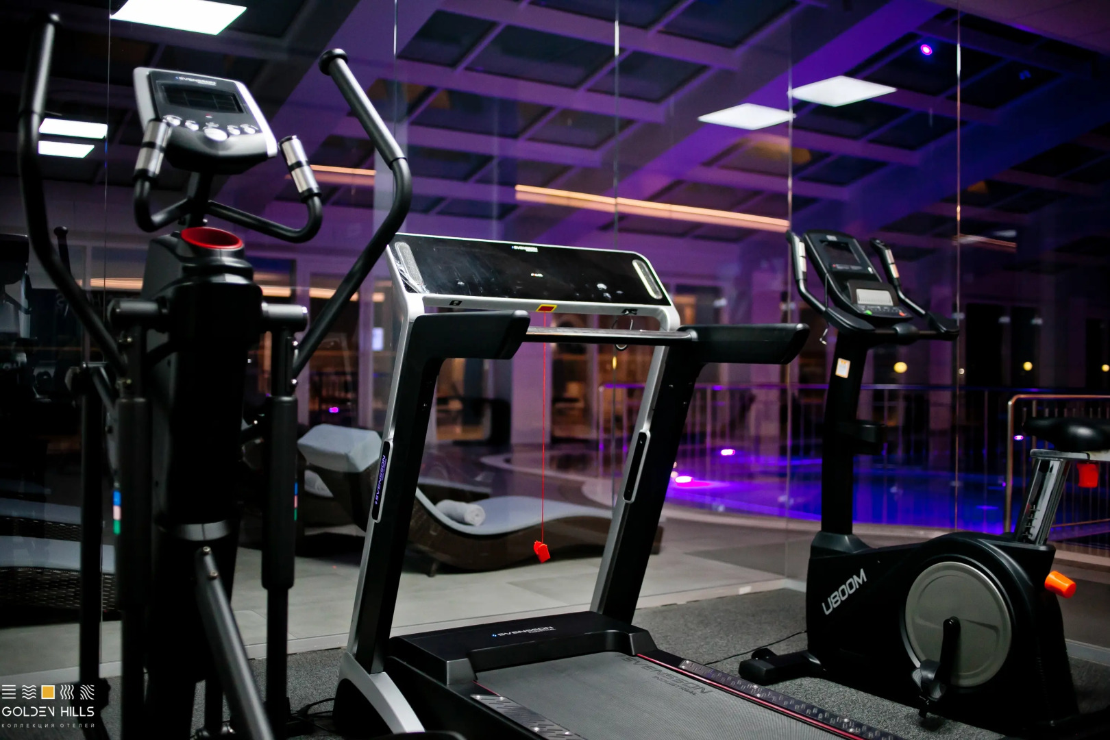 Голден Хиллс