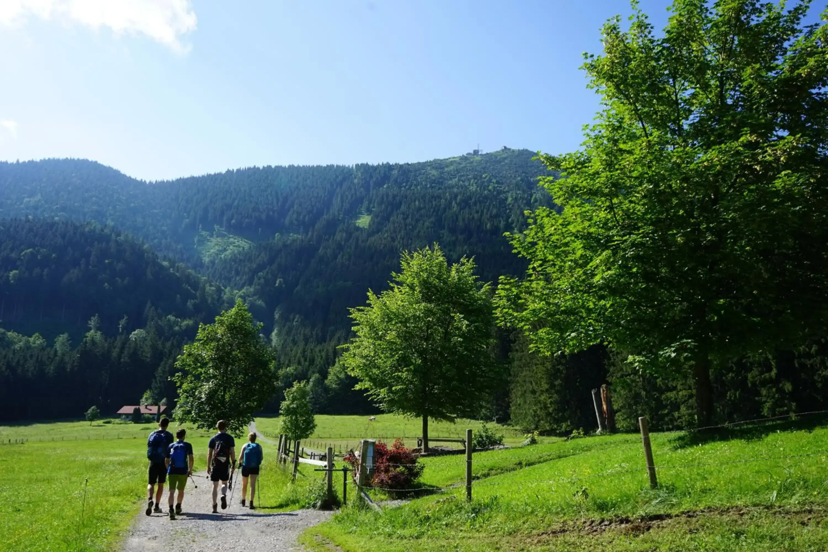 Ferienwohnungen Chiemgauer Seenglück